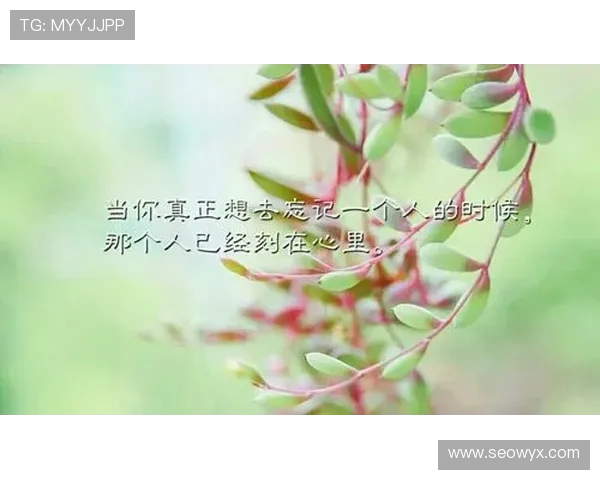 丧星玩转荷里活:当“失败者”成为人生赢家 丧星玩转荷里活:当“失败者”成为人生赢家